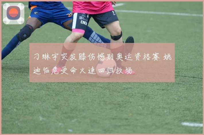 刁琳宇突发膝伤憾别奥运资格赛 姚迪临危受命火速回归救场
