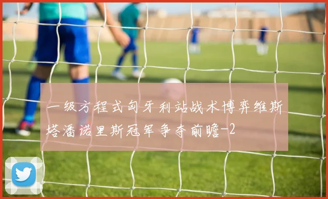 一级方程式匈牙利站战术博弈维斯塔潘诺里斯冠军争夺前瞻